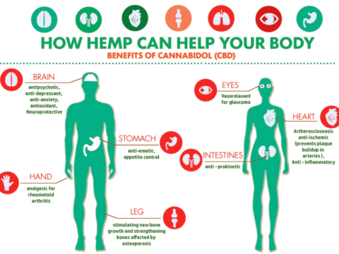 CBD Hemp Oil Facts