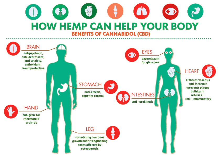 Full Spectrum CBD